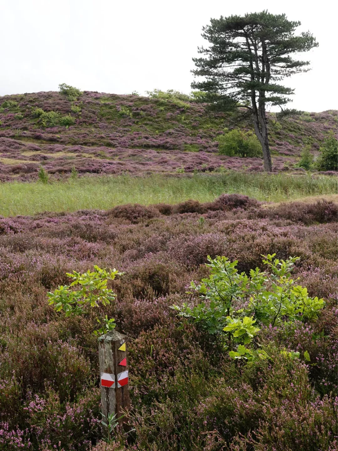 Uilenvanger Hotel Meyer Wandelroutes