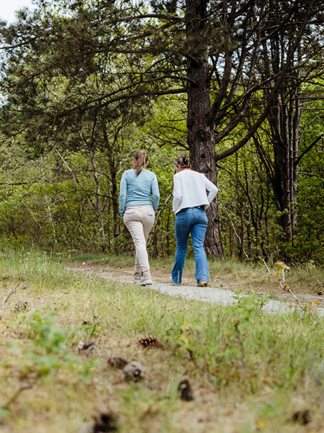 Wandelroute 1